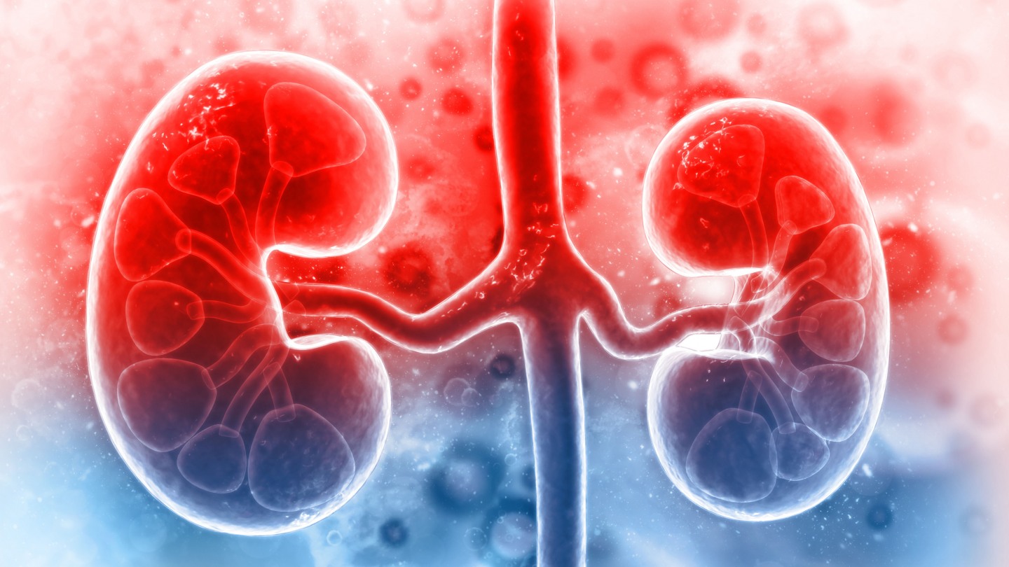 Fewer Patients Sought Treatment For Kidney Failure In Early Months Of 